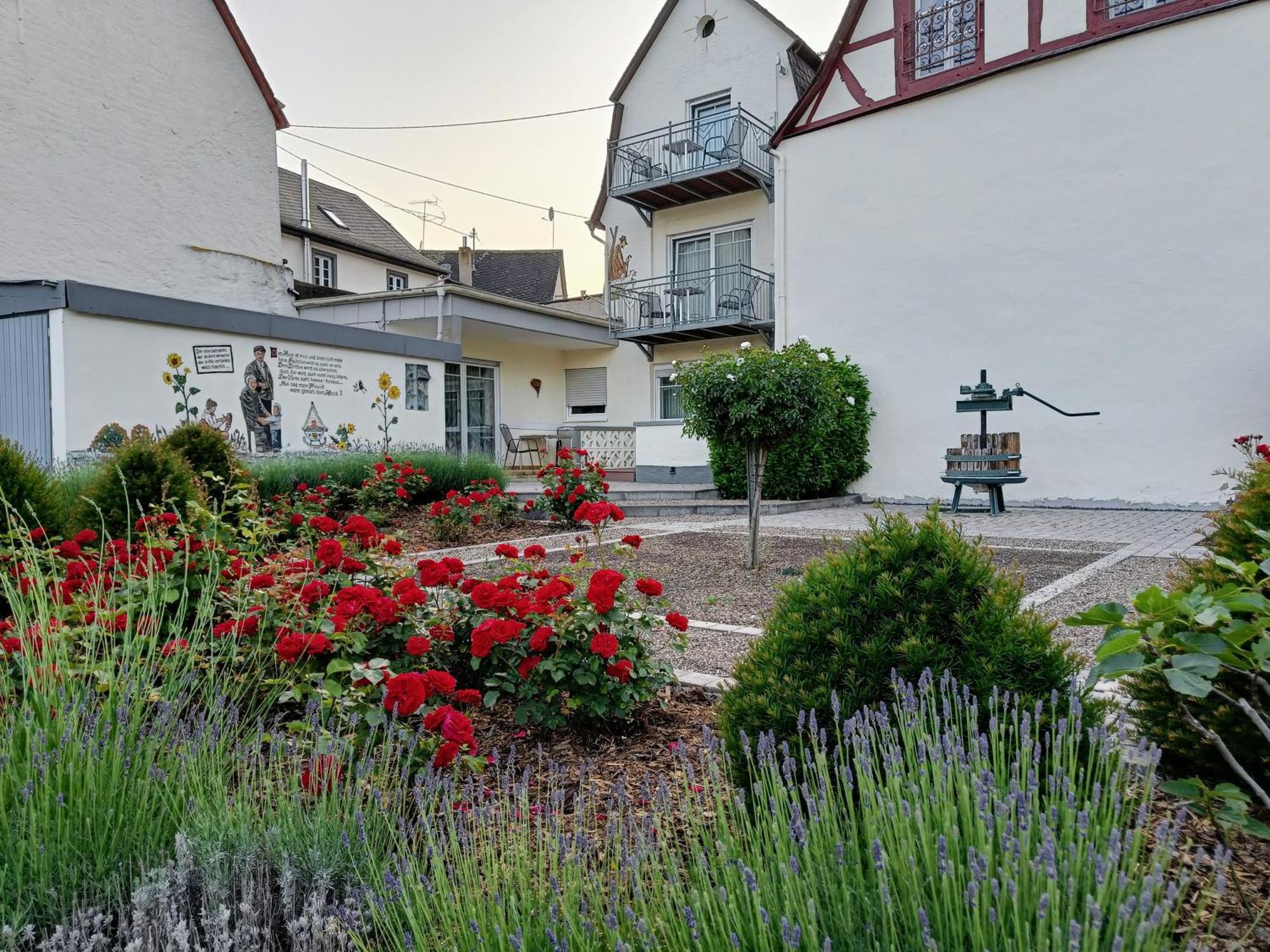 Ferienwohnung Moselstrand Briedern Exterior foto